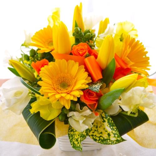 �v�`�ґ�ȃA�����W�����g�@Yellow fun�@�i�`���[���b�v�̃t�����[�A�����W�������g�j�C�G���[�I�����W�n