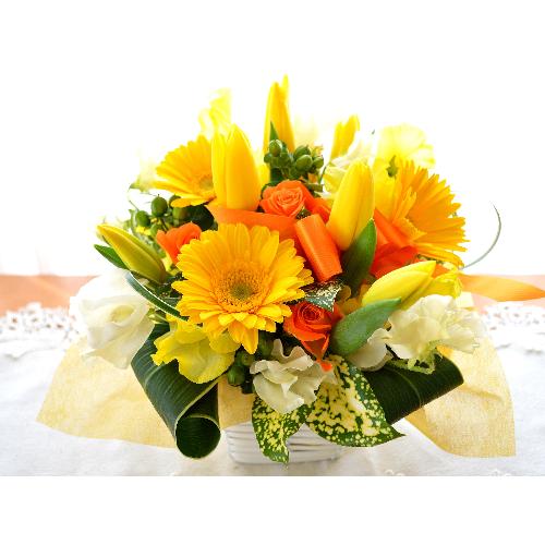 �v�`�ґ�ȃA�����W�����g�@Yellow fun�@�i�`���[���b�v�̃t�����[�A�����W�������g�j�C�G���[�I�����W�n2