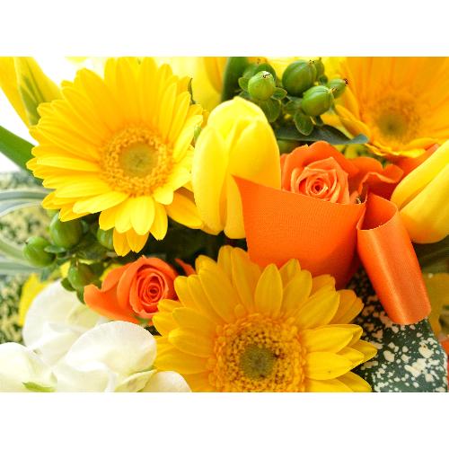 �v�`�ґ�ȃA�����W�����g�@Yellow fun�@�i�`���[���b�v�̃t�����[�A�����W�������g�j�C�G���[�I�����W�n5