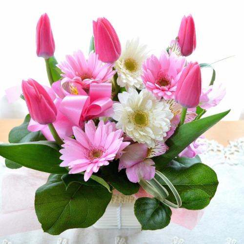 �L���[�g�ȃA�����W�����g�@PinkTulip�@�i�`���[���b�v�̃t�����[�A�����W�������g�j�s���N�n