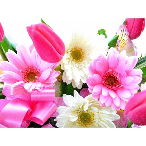 �L���[�g�ȃA�����W�����g�@PinkTulip�@�i�`���[���b�v�̃t�����[�A�����W�������g�j�s���N�n5