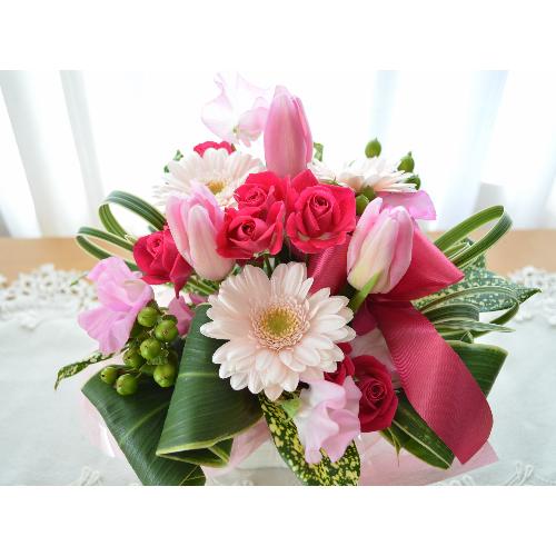 �L���[�g�ȃA�����W�@�r�����������o�������@�i�`���[���b�v�̃t�����[�A�����W�������g�j�s���N�n3