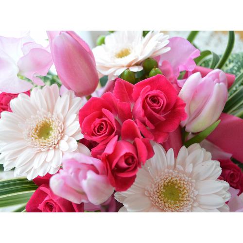 �L���[�g�ȃA�����W�@�r�����������o�������@�i�`���[���b�v�̃t�����[�A�����W�������g�j�s���N�n5