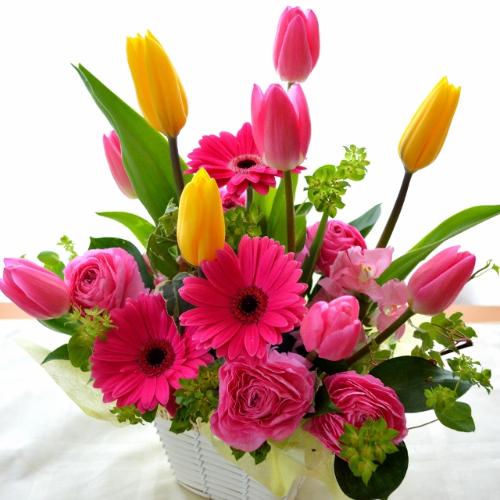 ��l�̃A�����W�����g�@SpringLip�@�i�`���[���b�v�̃t�����[�A�����W�������g�jmix�J���[�n