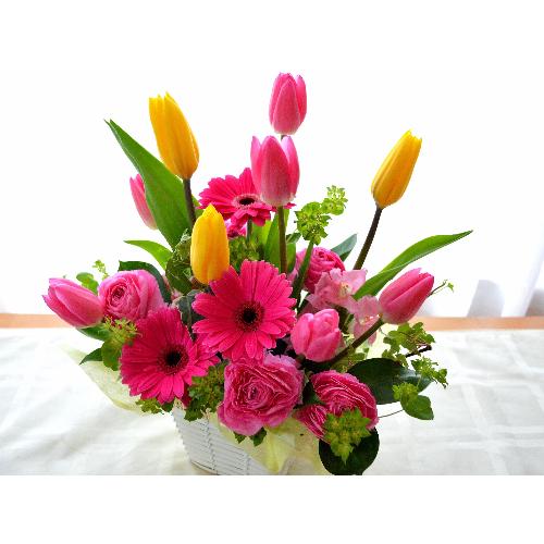 ��l�̃A�����W�����g�@SpringLip�@�i�`���[���b�v�̃t�����[�A�����W�������g�jmix�J���[�n2