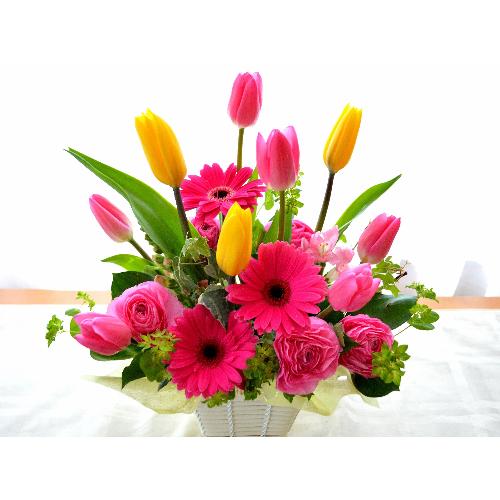 ��l�̃A�����W�����g�@SpringLip�@�i�`���[���b�v�̃t�����[�A�����W�������g�jmix�J���[�n3