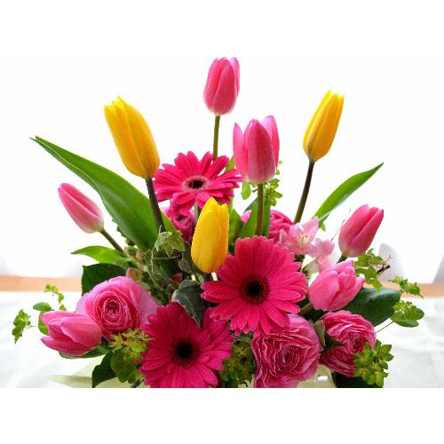 ��l�̃A�����W�����g�@SpringLip�@�i�`���[���b�v�̃t�����[�A�����W�������g�jmix�J���[�n4