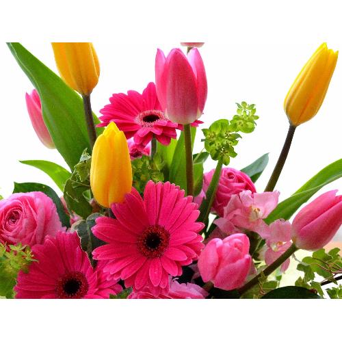 ��l�̃A�����W�����g�@SpringLip�@�i�`���[���b�v�̃t�����[�A�����W�������g�jmix�J���[�n5