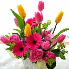 ��l�̃A�����W�����g�@SpringLip�@�i�`���[���b�v�̃t�����[�A�����W�������g�jmix�J���[�n