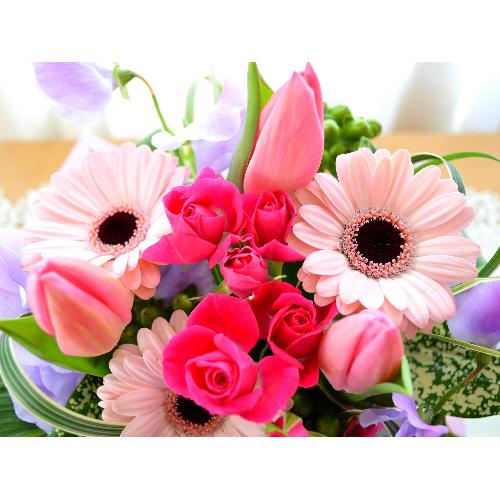 �L���[�g�ȃA�����W�@PinkPurple�@�i�`���[���b�v�̃t�����[�A�����W�������g�j�s���N�n3