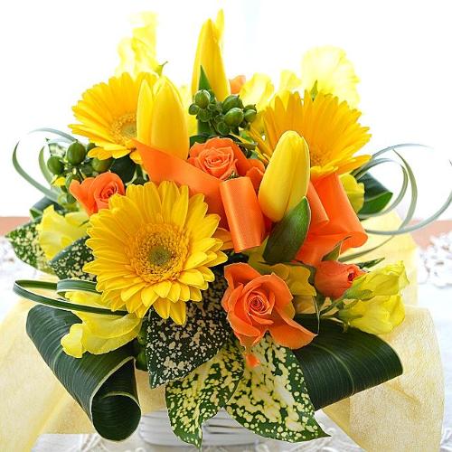 �L���[�g�ȃA�����W�@YellowRibbon�@�i�`���[���b�v�̃t�����[�A�����W�������g�j�s���N�n