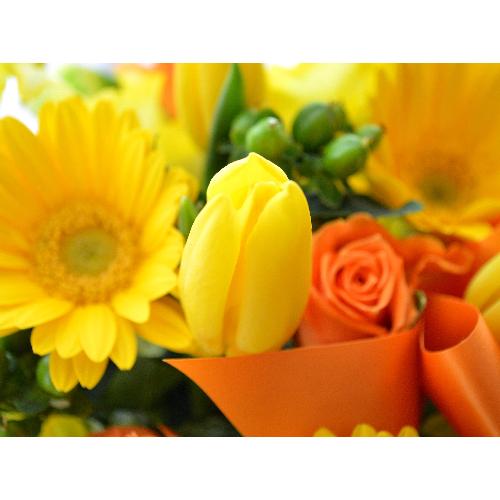 �L���[�g�ȃA�����W�@YellowRibbon�@�i�`���[���b�v�̃t�����[�A�����W�������g�j�s���N�n5