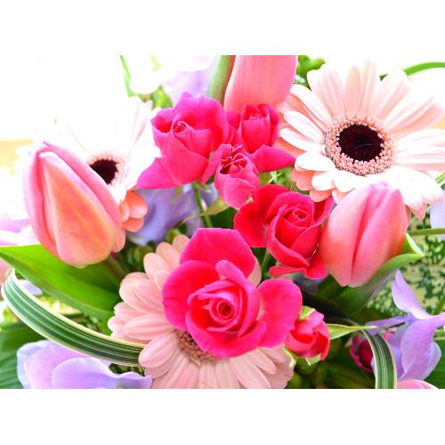 �v�`�ґ�ȃA�����W�����g�@Pink lace�@�i�`���[���b�v�̃t�����[�A�����W�������g�j�s���N�n5