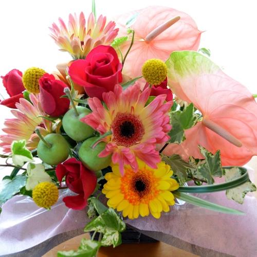 v`ґȃAW@FruitBasket (AX[ƃK[x̃t[AWgjMixJ[ aALOAjAhV̓