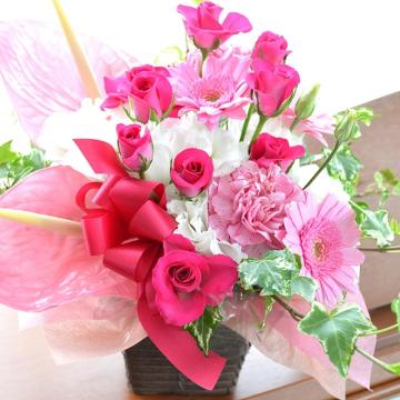 ＜フジテレビフラワーネット＞ プチ贅沢なアレンジ PinkDolce （アンスリュームとspバラのフラワーアレンジメント）ピンク系 誕生日、結婚記念日、お祝い、敬老の日