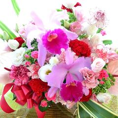 ラバーズコンチェルト　（蘭のフラワーアレンジメント）ピンク系　誕生日、結婚記念日、お祝い、敬老の日