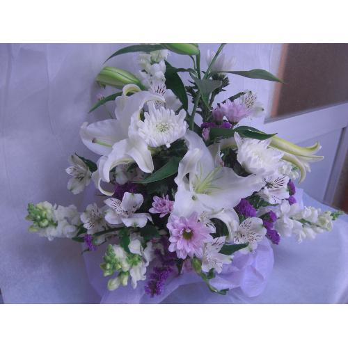 �������@�X�^���_�[�h