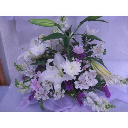 �������@�X�^���_�[�h2