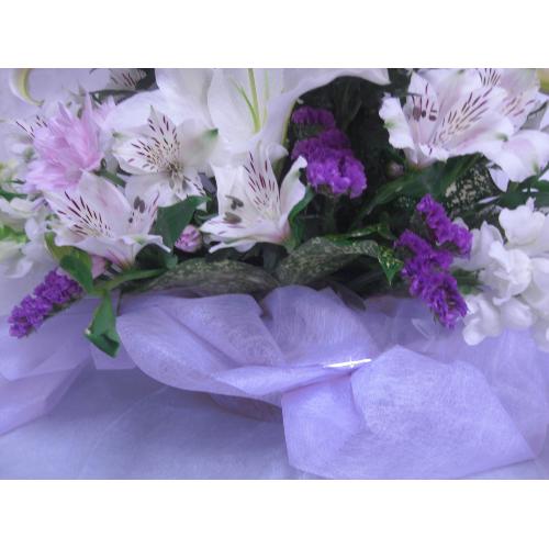 �������@�X�^���_�[�h3