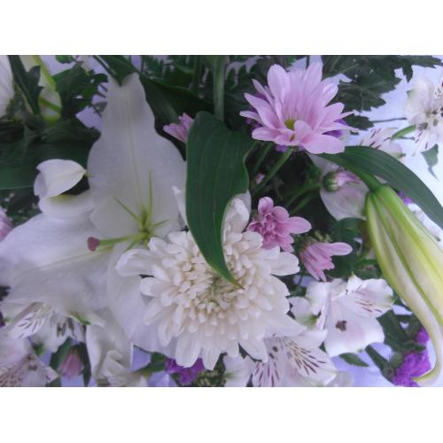 �������@�X�^���_�[�h4