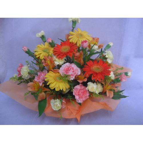 �C�G���[���I�����W�@