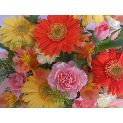 �C�G���[���I�����W�@2