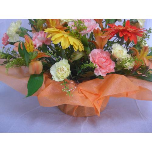 �C�G���[���I�����W�@3