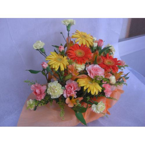 �C�G���[���I�����W�@4