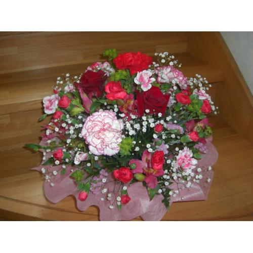 �s���N�����b�h�@���E���h