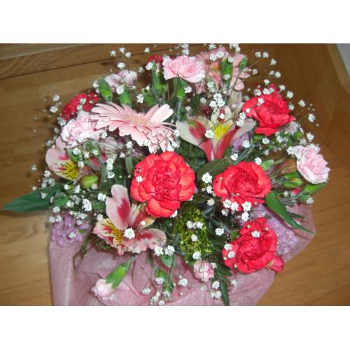 �s���N�����b�h�@���E���h2