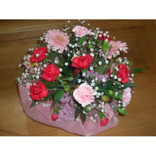 �s���N�����b�h�@���E���h3