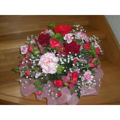 �s���N�����b�h�@���E���h