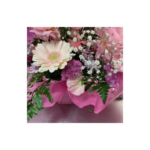 ���܂���!!�G�߂̂��ԃL���[�g�s���N2