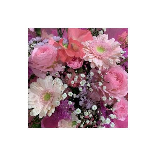 ���܂���!!�G�߂̂��ԃL���[�g�s���N3