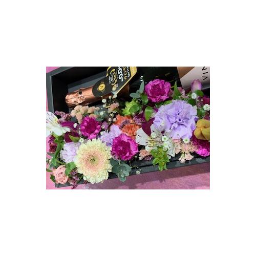 �X�p�[�N�����O�@0.0%ALC�@�}���A�[�W��2