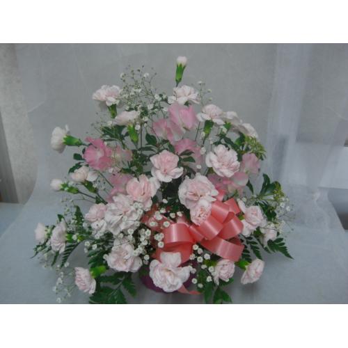 �p�X�e���s���N