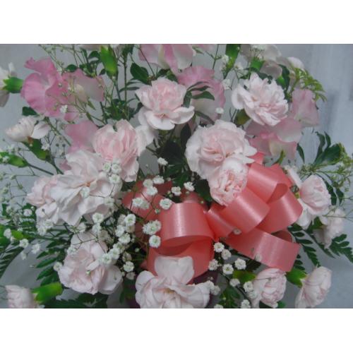 �p�X�e���s���N2