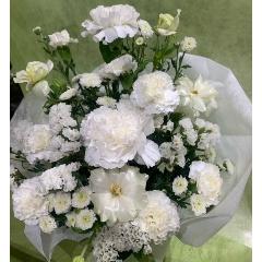 �������A�����W�@�z���C�g