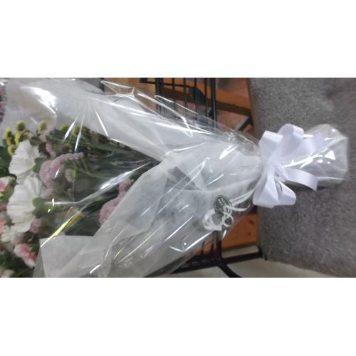 �������p�ԑ��@�p�X�e���J���[2