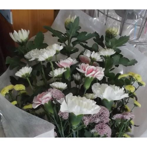 �������p�ԑ��@�p�X�e���J���[3