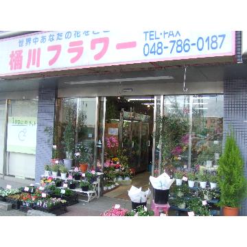 埼玉県桶川市の花屋 有 桶川フラワー をご紹介 フラワーギフトはプロのお花屋さんにおまかせ フジテレビフラワーネット