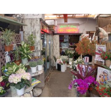 埼玉県さいたま市 南区の花屋 フラワーフロンティア をご紹介 フラワーギフトはプロのお花屋さんにおまかせ フジテレビフラワーネット