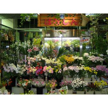 北海道旭川市の花屋 株式会社はなしん をご紹介 フラワーギフトはプロのお花屋さんにおまかせ フジテレビフラワーネット