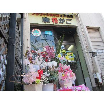 花屋 株 花かご をご紹介 花屋が手届け配達 花束などフラワーギフトは フジテレビフラワーネット