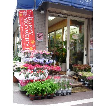 兵庫県芦屋市の花屋 フラワーブティック花園 をご紹介 フラワーギフトはプロのお花屋さんにおまかせ フジテレビフラワーネット