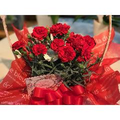 ���֤����ɡ���äѤ��֤Υ����͡�����󤬤����͢������δ��դ򤪲֤������ơ���