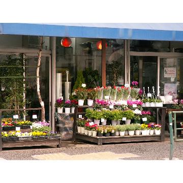 東京都町田市の花屋 有 ツチヤ生花店 をご紹介 フラワーギフトはプロのお花屋さんにおまかせ フジテレビフラワーネット