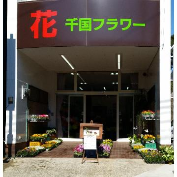 X܊Oω摜