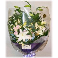 涡«ߡ̿ߡ롦ͽˡסˡˡ԰褫餪Ϥޤ