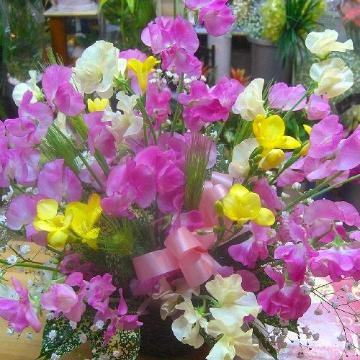 ＜フジテレビフラワーネット＞ ★ピンク薔薇の花束★誕生日・成人の日・恋人の日・結婚祝い・記念日・送別・御祝い事に・・大阪市阿倍野区からお届けします。